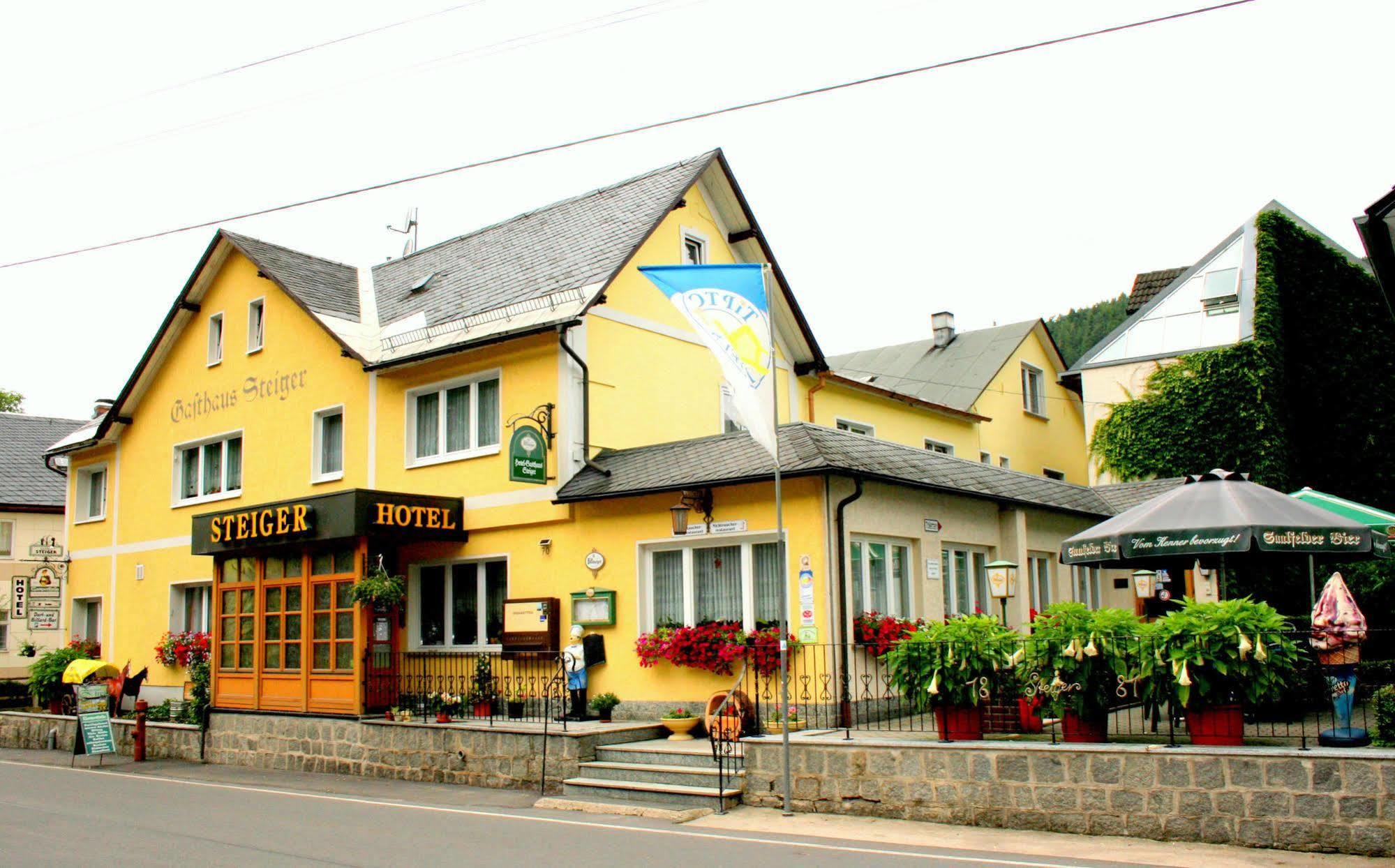 Hotel-gasthaus Steiger 3* Gräfenthal